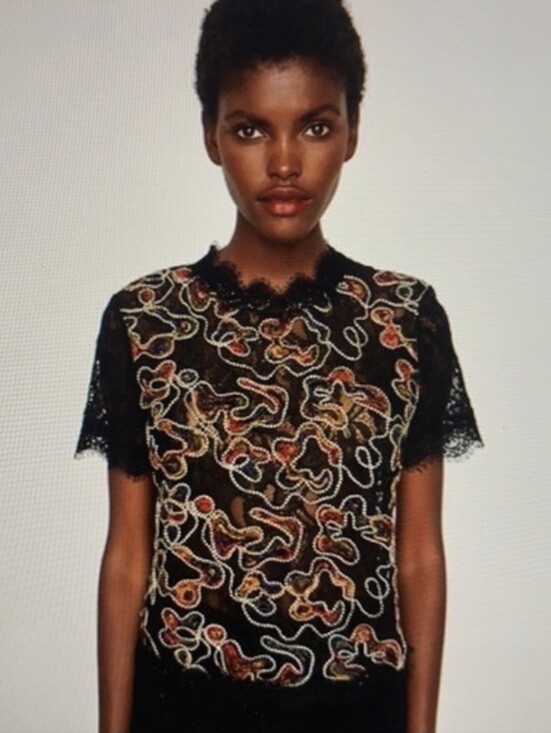 Zara Tops - Zara Lace Blouse Featuring Multicolor Embroidery - Size Small